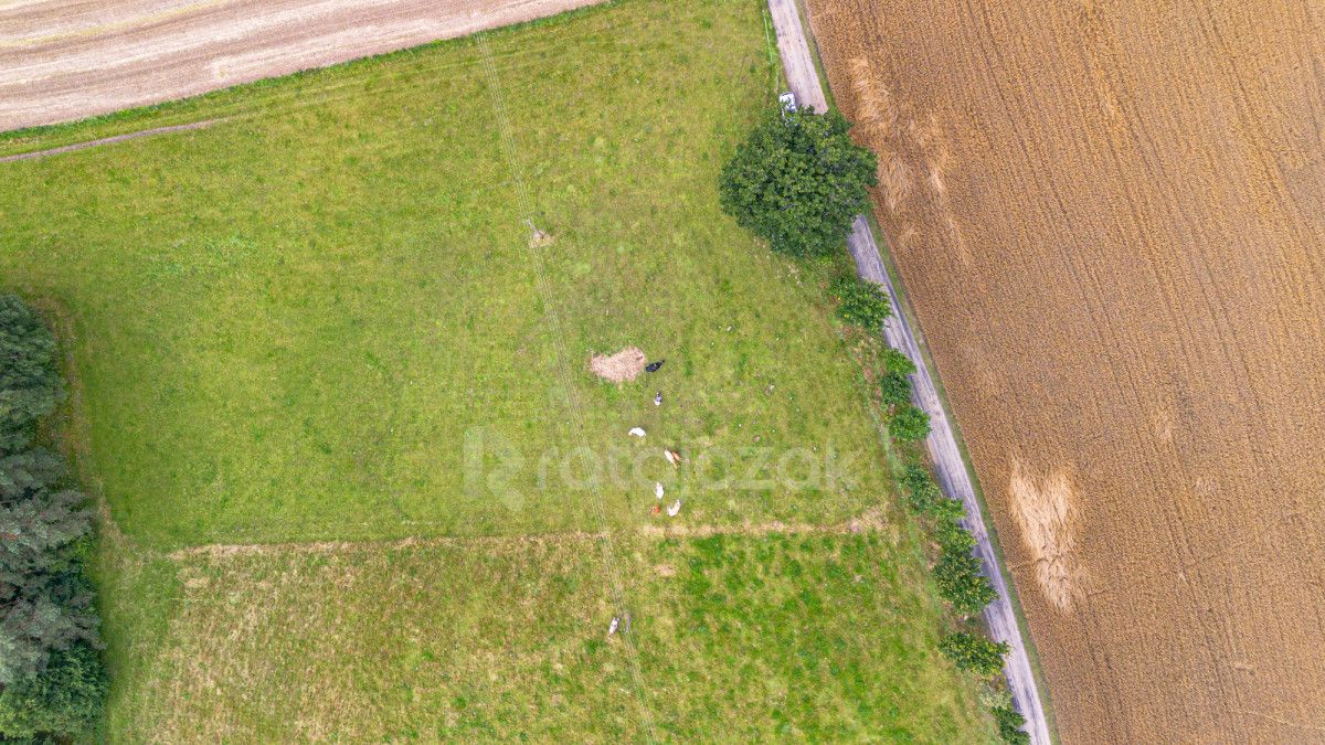 Działka inwestycyjna Milwino, ul. Rolnicza. Zdjęcie 8