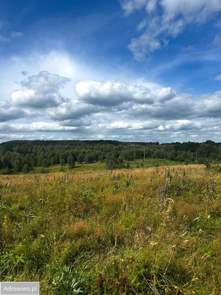 Działka budowlana Trzepowo, ul. Racibora. Zdjęcie 2