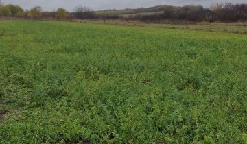 Działka budowlana Pierzchnica