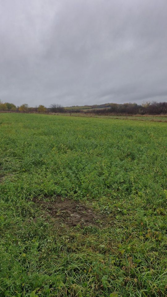 Działka budowlana Pierzchnica. Zdjęcie 2