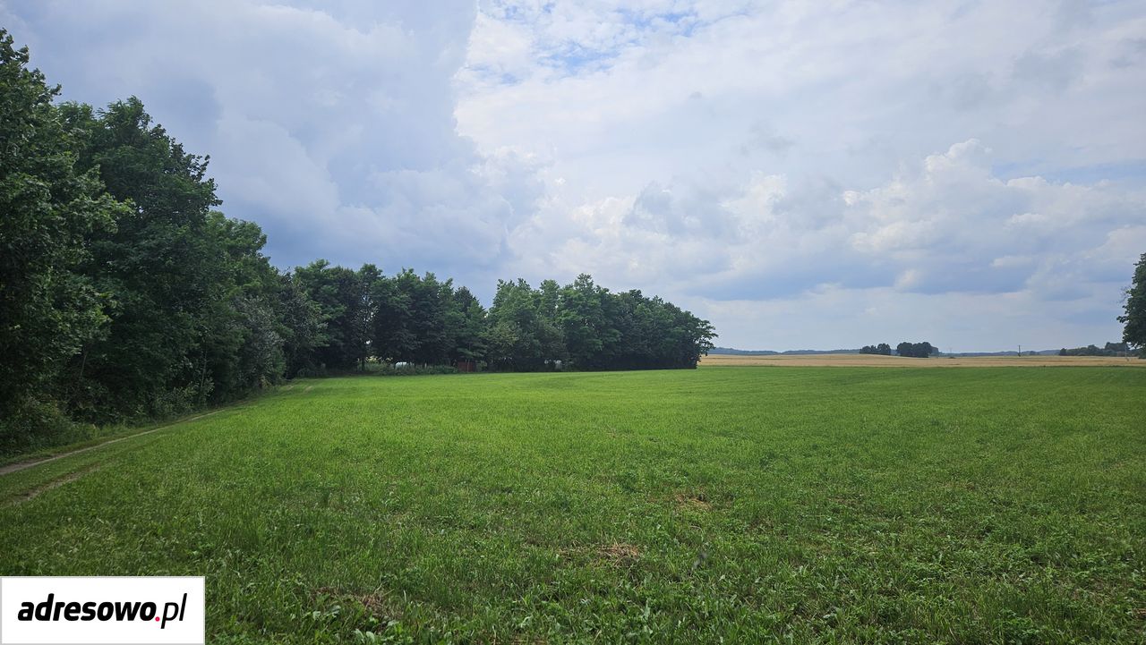 Działka rolna Runowo Krajeńskie. Zdjęcie 12