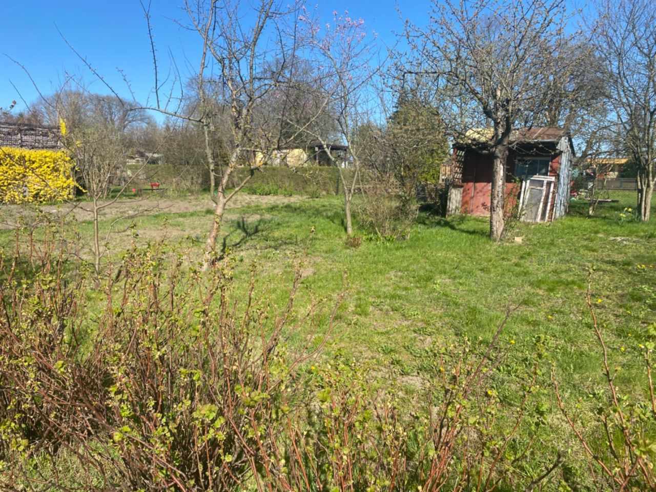 Działka rod Słupsk, ul. Gdańska