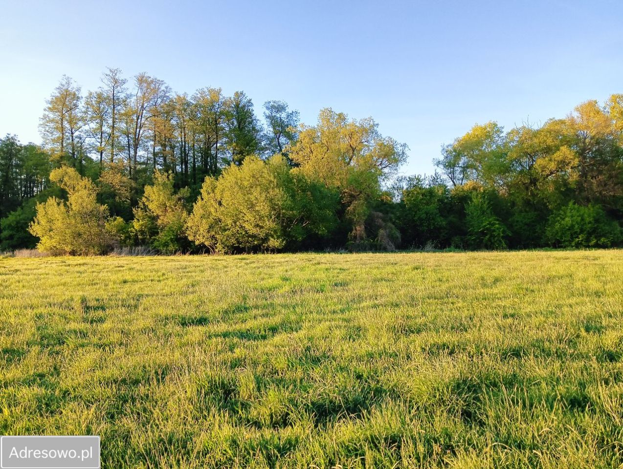 Działka budowlana Cykowo. Zdjęcie 2