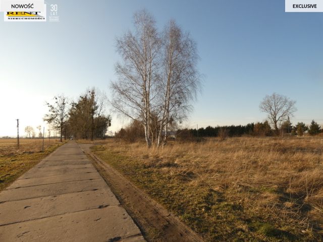 Działka inwestycyjna Komarowo. Zdjęcie 8