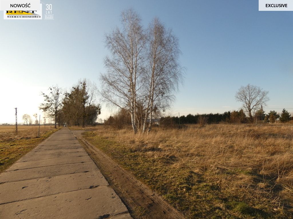 Działka inwestycyjna Komarowo. Zdjęcie 8