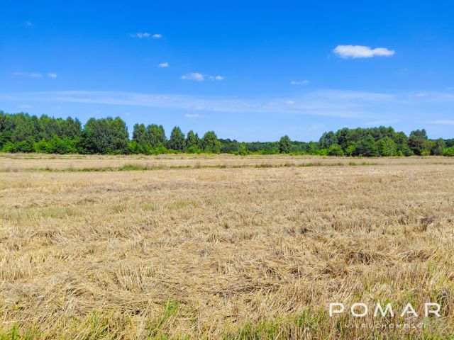 Działka budowlana Książenice, ul. ks. Pojdy. Zdjęcie 5