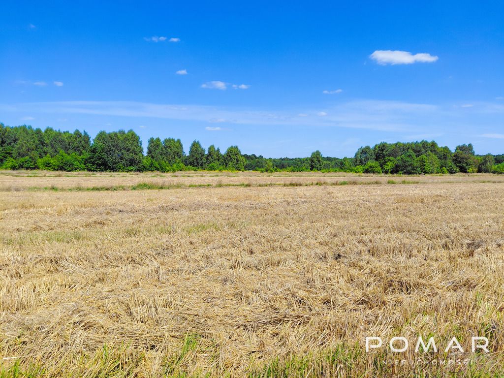 Działka budowlana Książenice, ul. ks. Pojdy. Zdjęcie 5