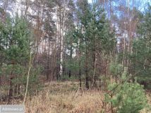 Działka budowlana Banino, ul. Bursztynowa. Zdjęcie 2