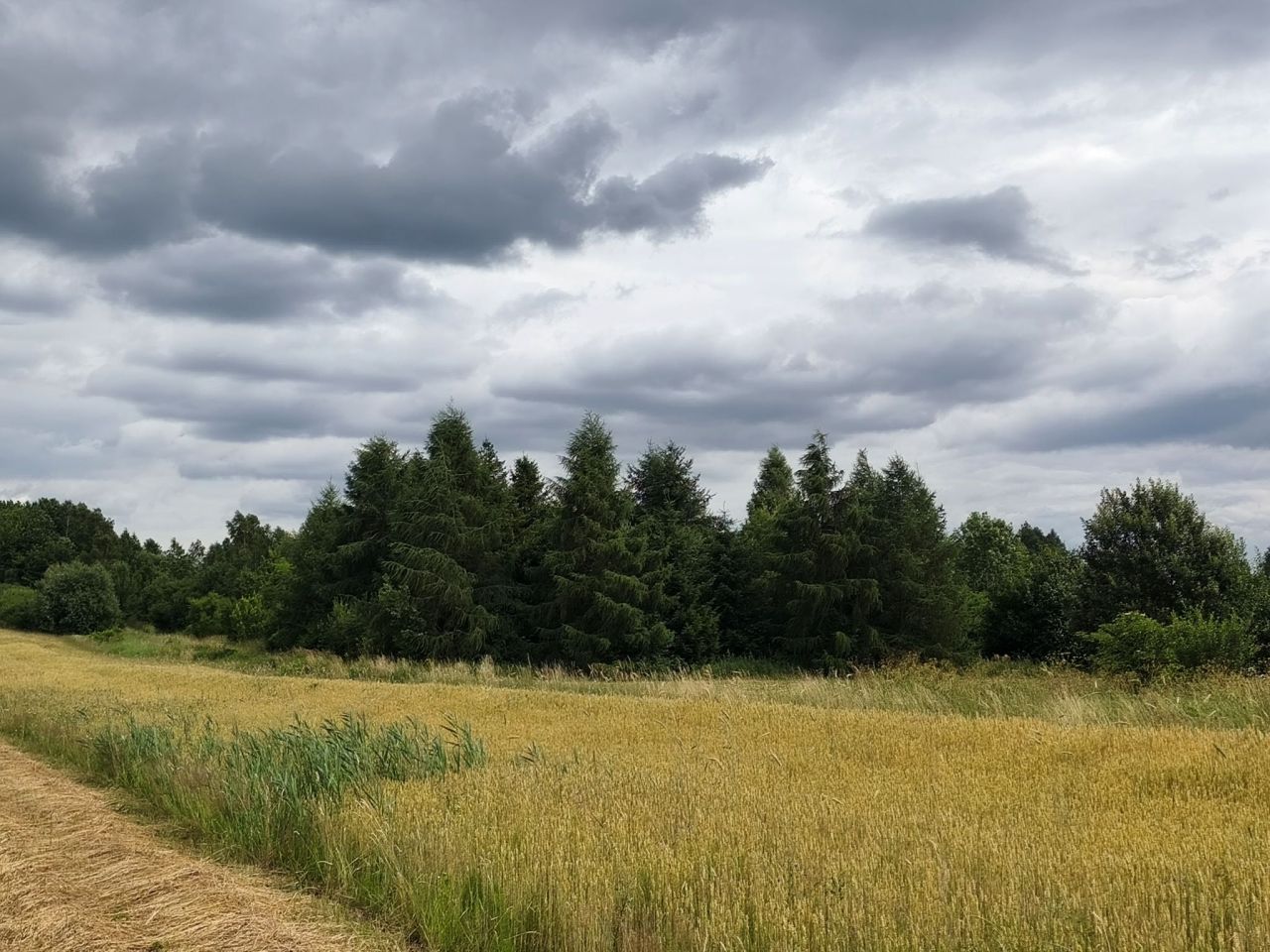 Działka rolna Kostarowce. Zdjęcie 7