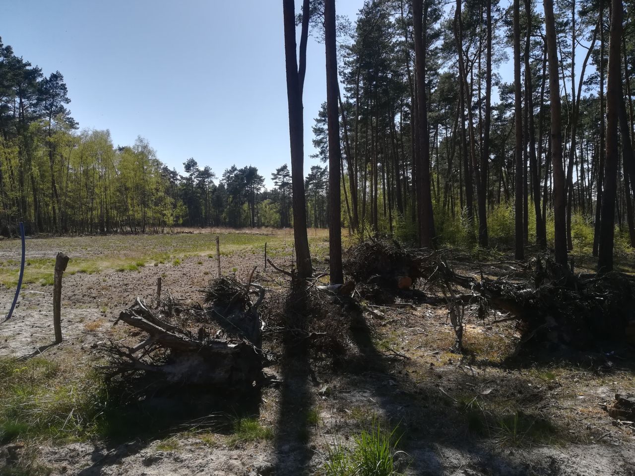 Działka budowlana Dziwnów, ul. Daglezji. Zdjęcie 21