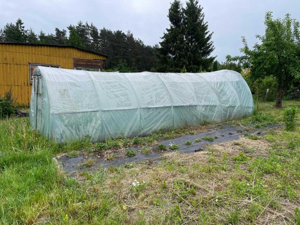 Działka rod Wójtowo. Zdjęcie 4