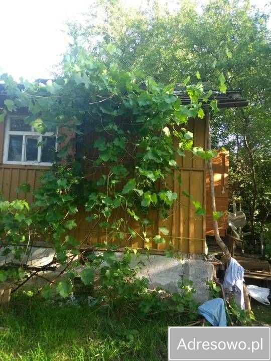 Działka rod Kielce. Zdjęcie 6