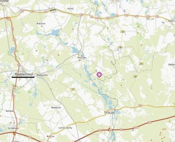 Działka budowlana Pszczew, Silna. Zdjęcie 5