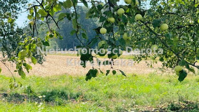 Działka rolna Tomaszów Mazowiecki Nagórzyce, ul. Ludowa. Zdjęcie 4