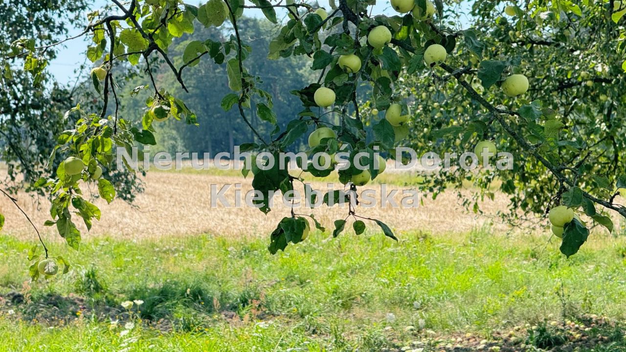 Działka rolna Tomaszów Mazowiecki Nagórzyce, ul. Ludowa. Zdjęcie 4