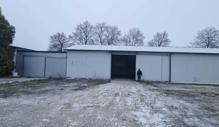 Hala/magazyn Kalisz, ul. Skalmierzycka