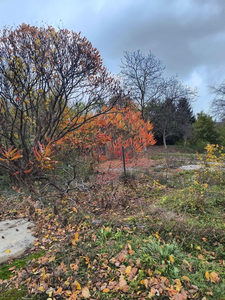 dom wolnostojący, 11 pokoi Kotla, ul. Głogowska. Zdjęcie 20