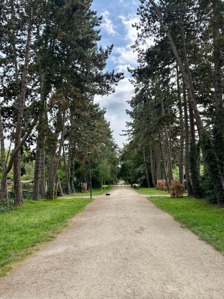 Mieszkanie 3-pokojowe Wrocław Psie Pole, ul. Grudziądzka. Zdjęcie 10