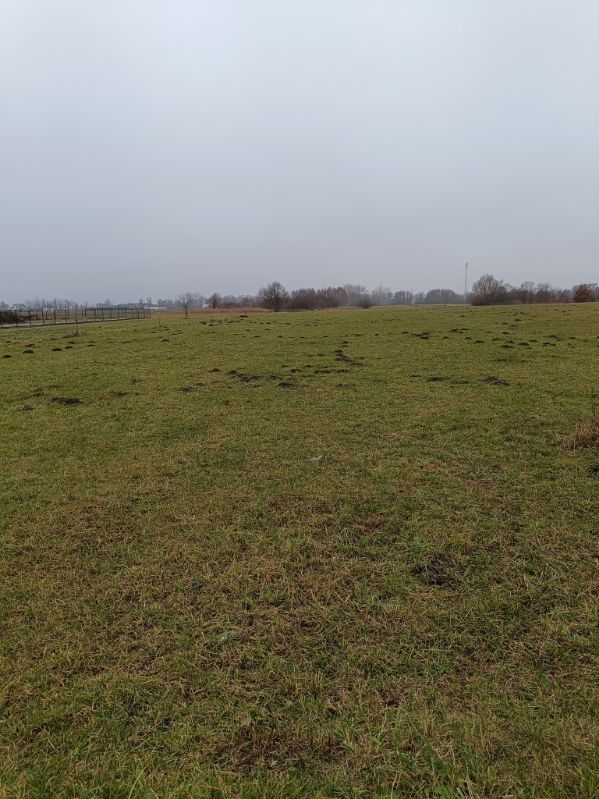 Działka budowlana Wójty. Zdjęcie 2