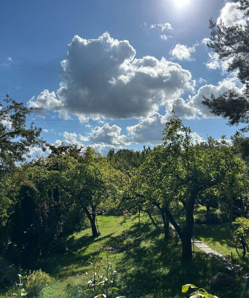 Działka rod Szczecin Centrum. Zdjęcie 6