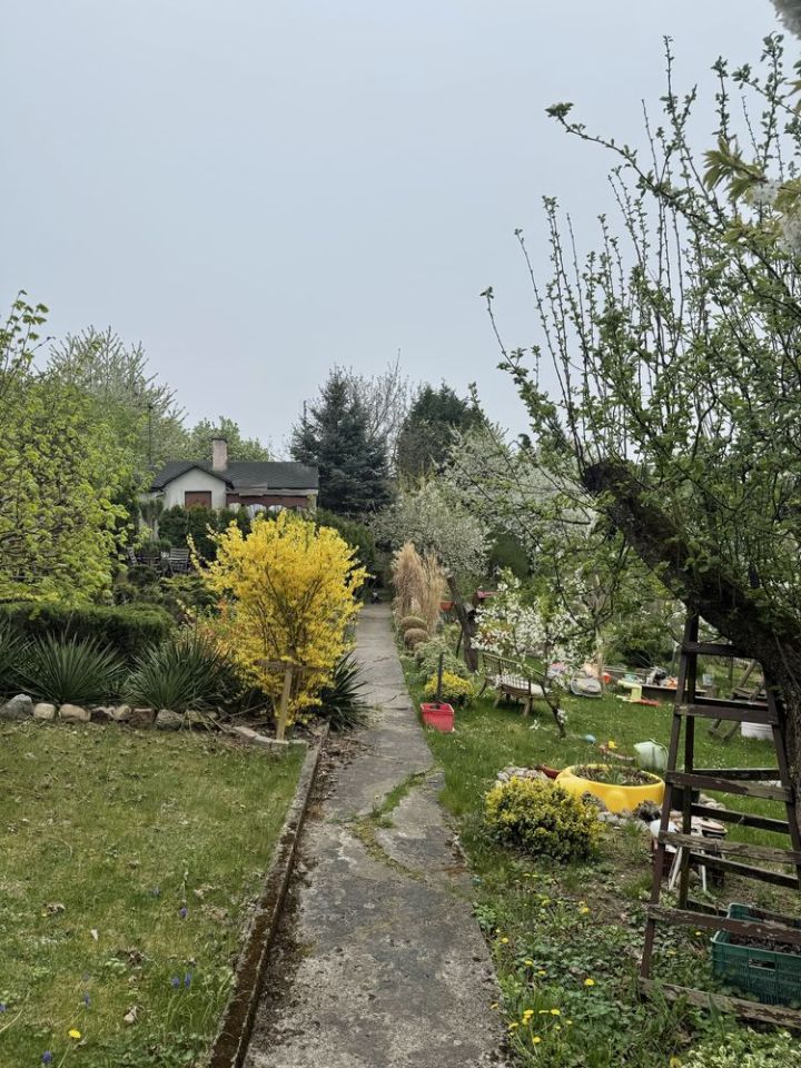 Działka rod Szczecin Golęcino, ul. Grochowa. Zdjęcie 6