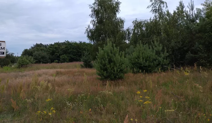 Działka budowlana Sokolniki-Las