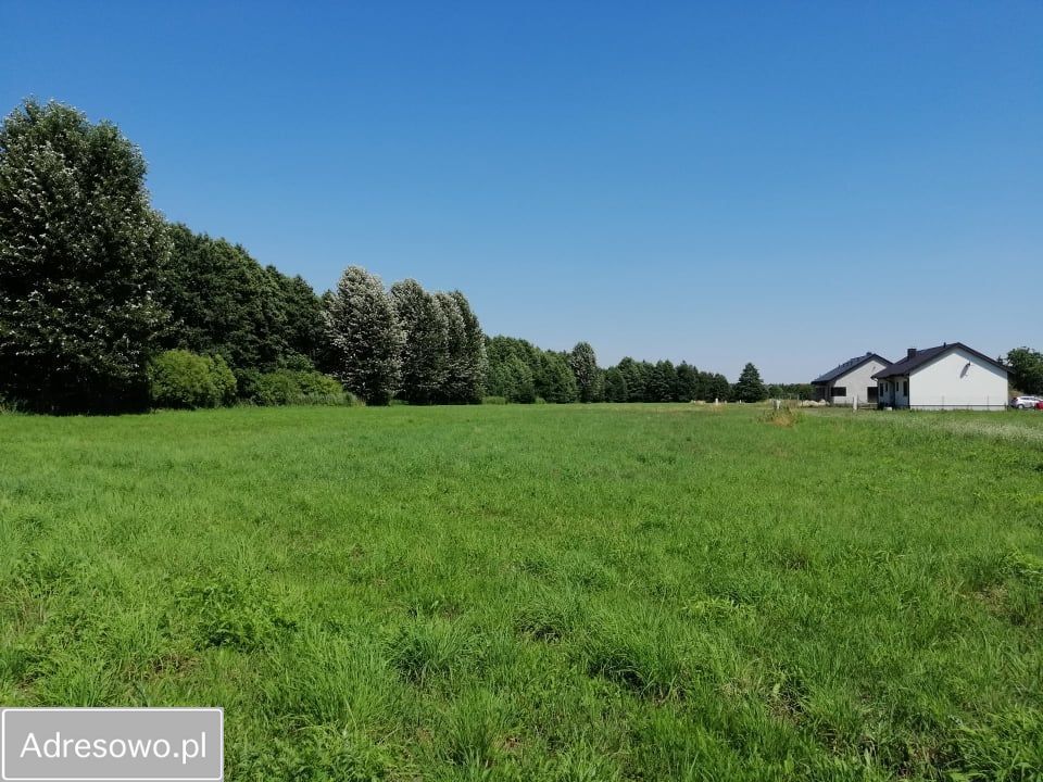 Działka budowlana Zasutowo, ul. Skrajna. Zdjęcie 5