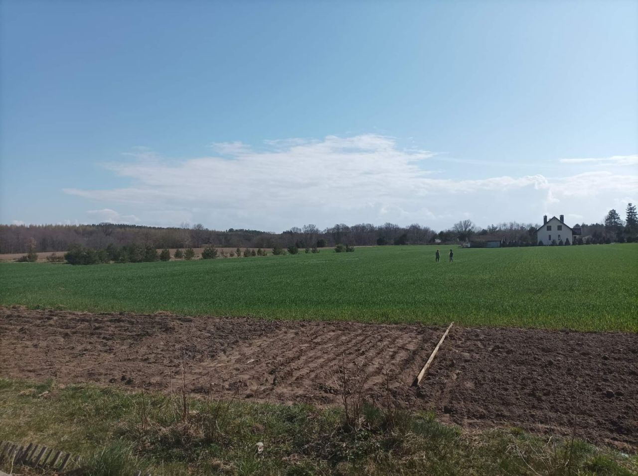 Działka budowlana Żochowo. Zdjęcie 3