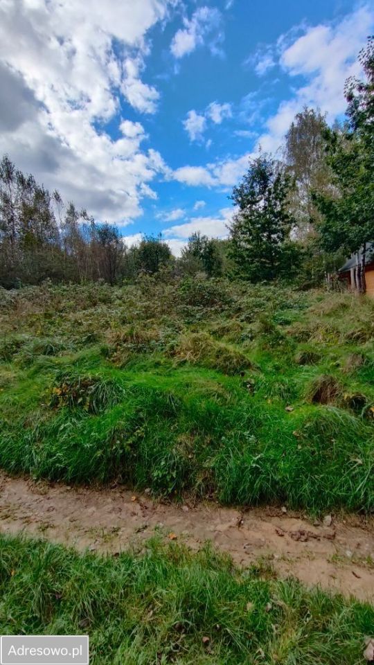 Działka rolno-budowlana Wola Radziszowska. Zdjęcie 3