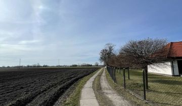 Działka budowlana Żukówka, ul. Łąki