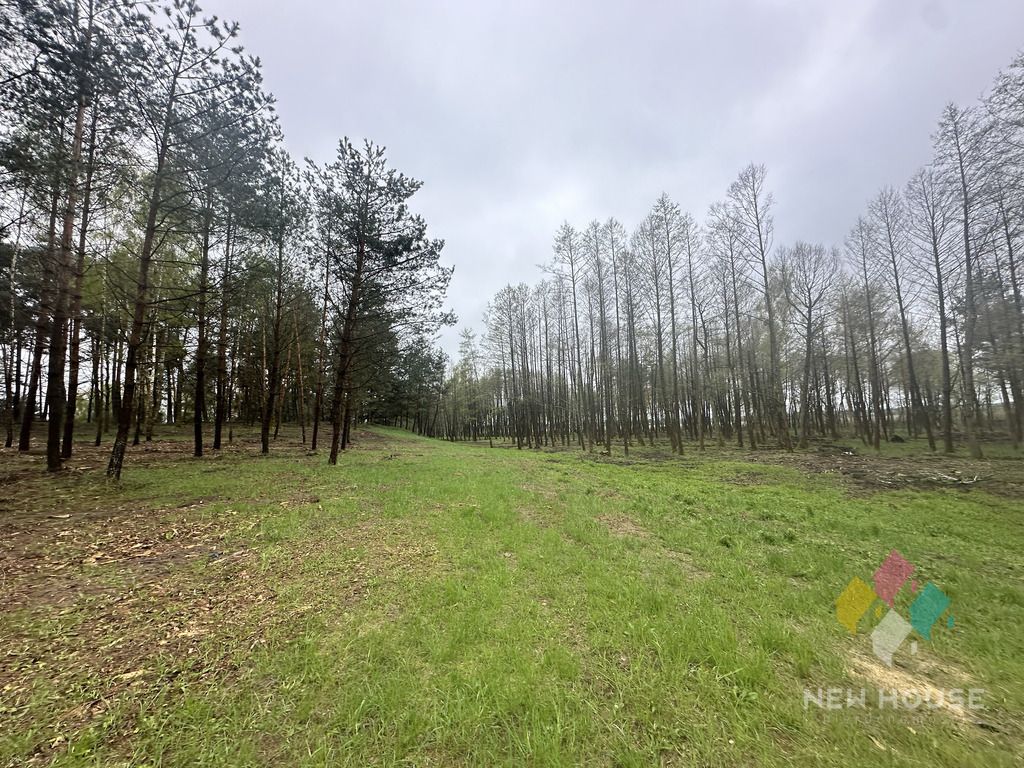 Działka budowlana Tałty. Zdjęcie 22