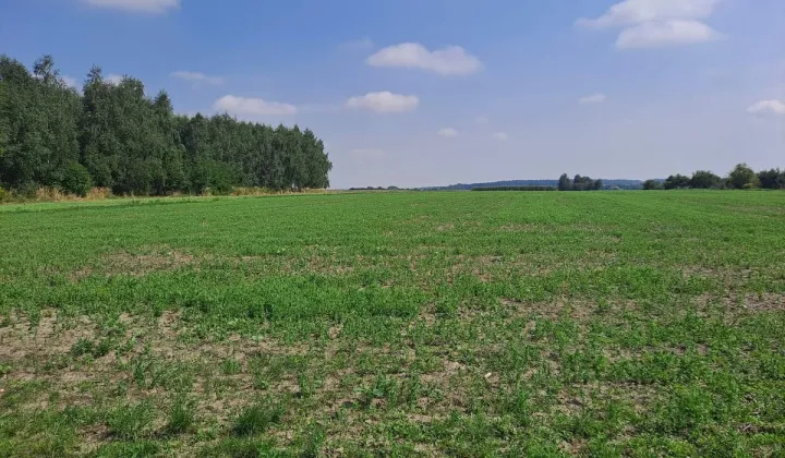 Działka budowlana Toszek