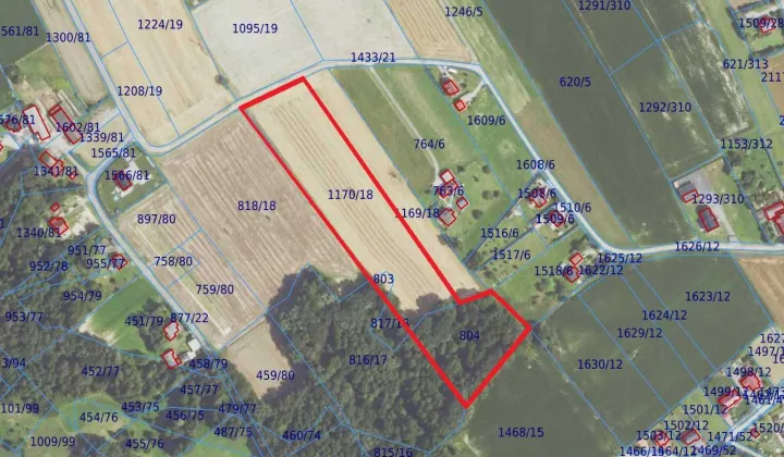 Działka rolna Pielgrzymowice, ul. Podlesie