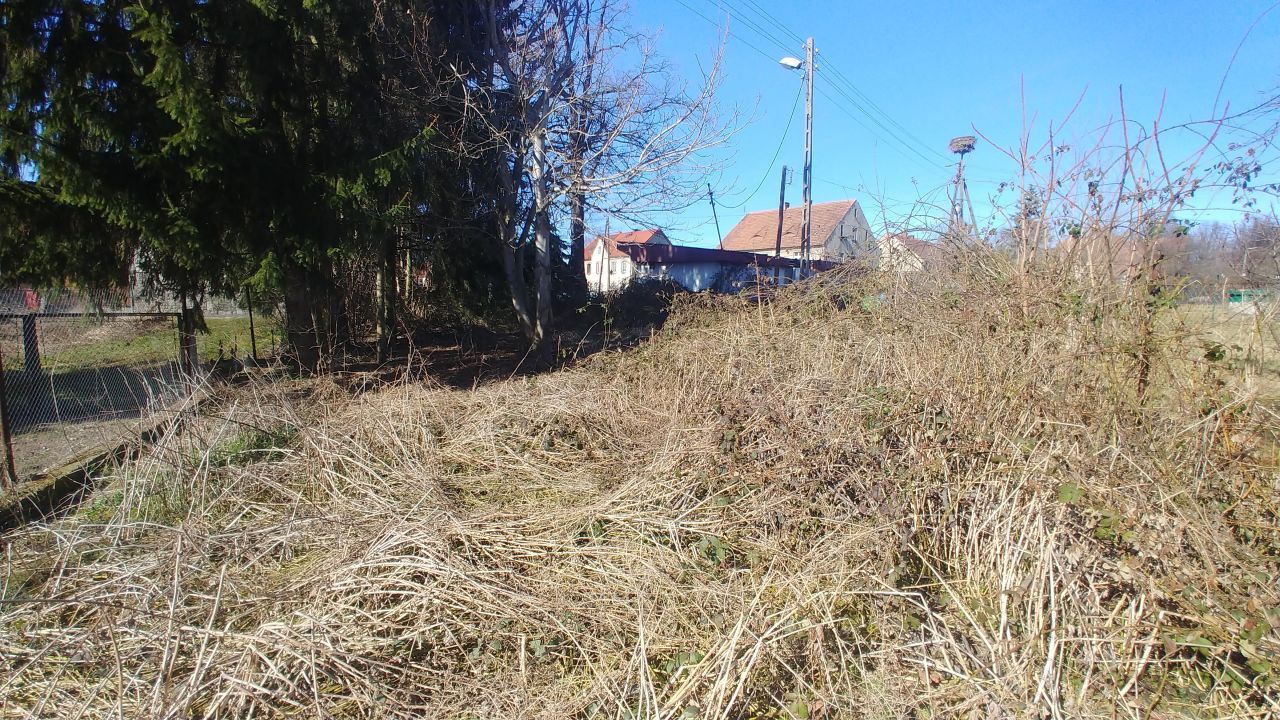 Działka budowlana Morawa, Morawa. Zdjęcie 9