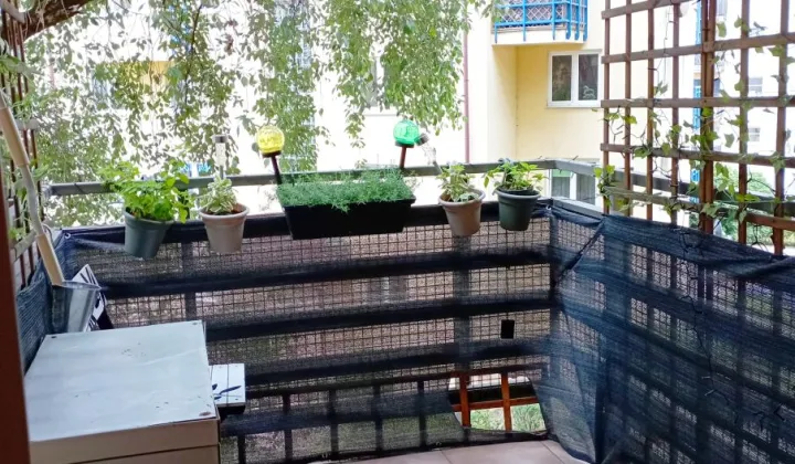 Mieszkanie 2-pokojowe Wrocław Psie Pole, ul. Bolesława Krzywoustego
