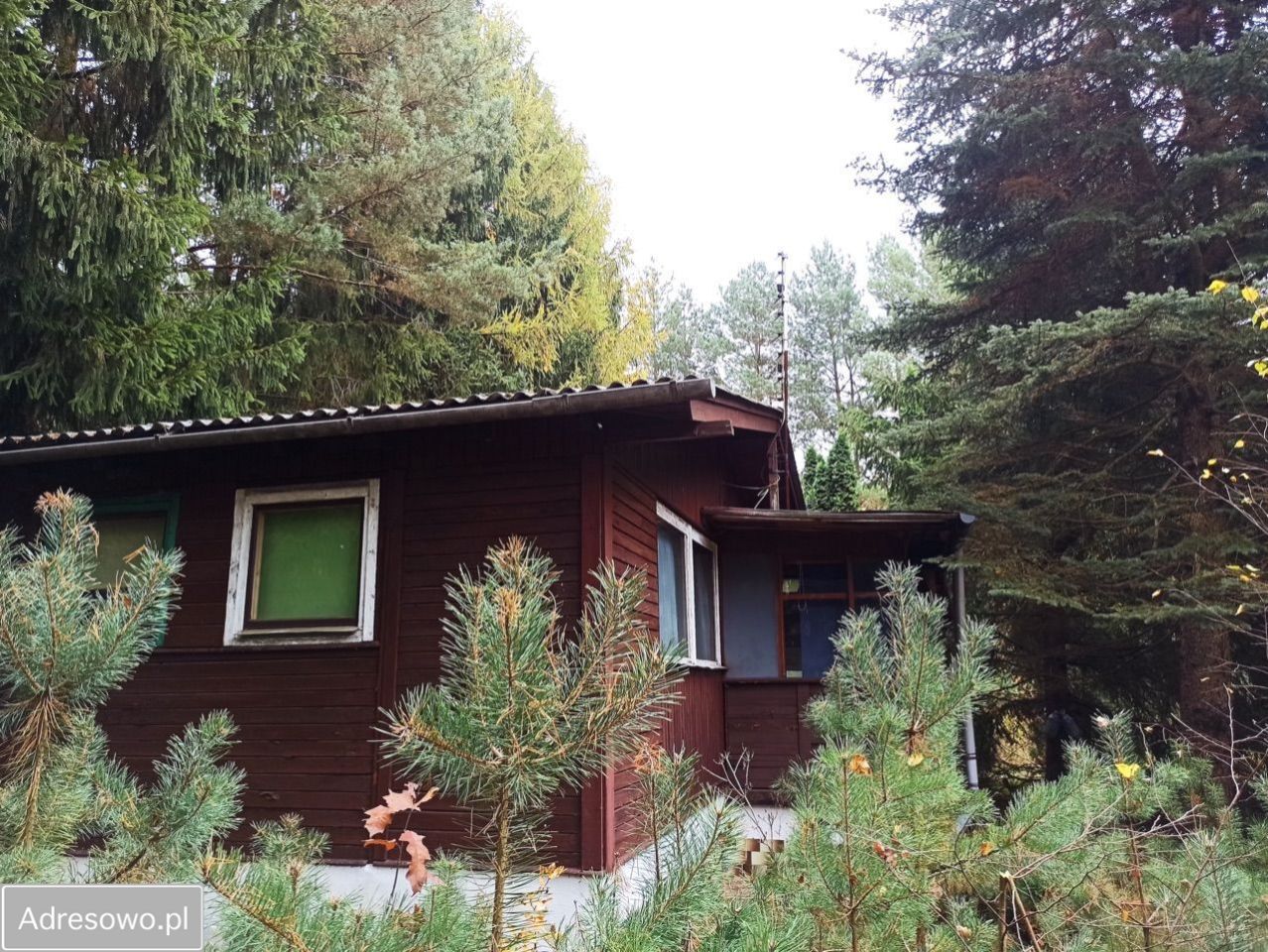 Dzia ka Adam w Parcel Bez Po rednika 1200 M dzia-ka-adam-w-parcel-bez-po-rednika-1200-m