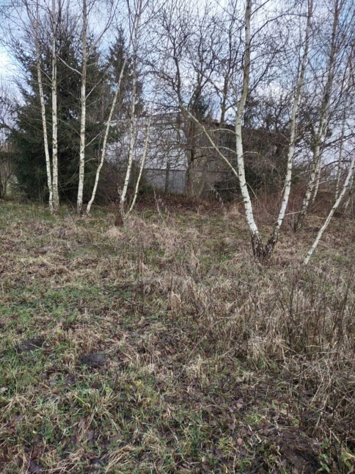 Działka siedliskowa Malanówko. Zdjęcie 3