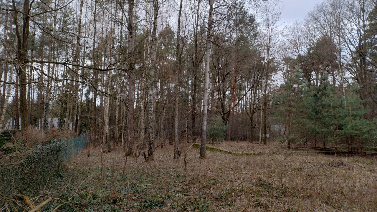 Działka budowlana Zofiówka, ul. Cmentarna. Zdjęcie 16