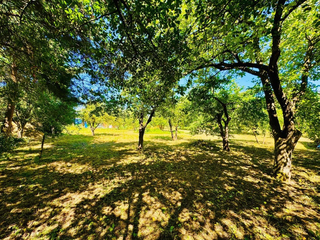 Działka rod Wschowa, al. PCK. Zdjęcie 6