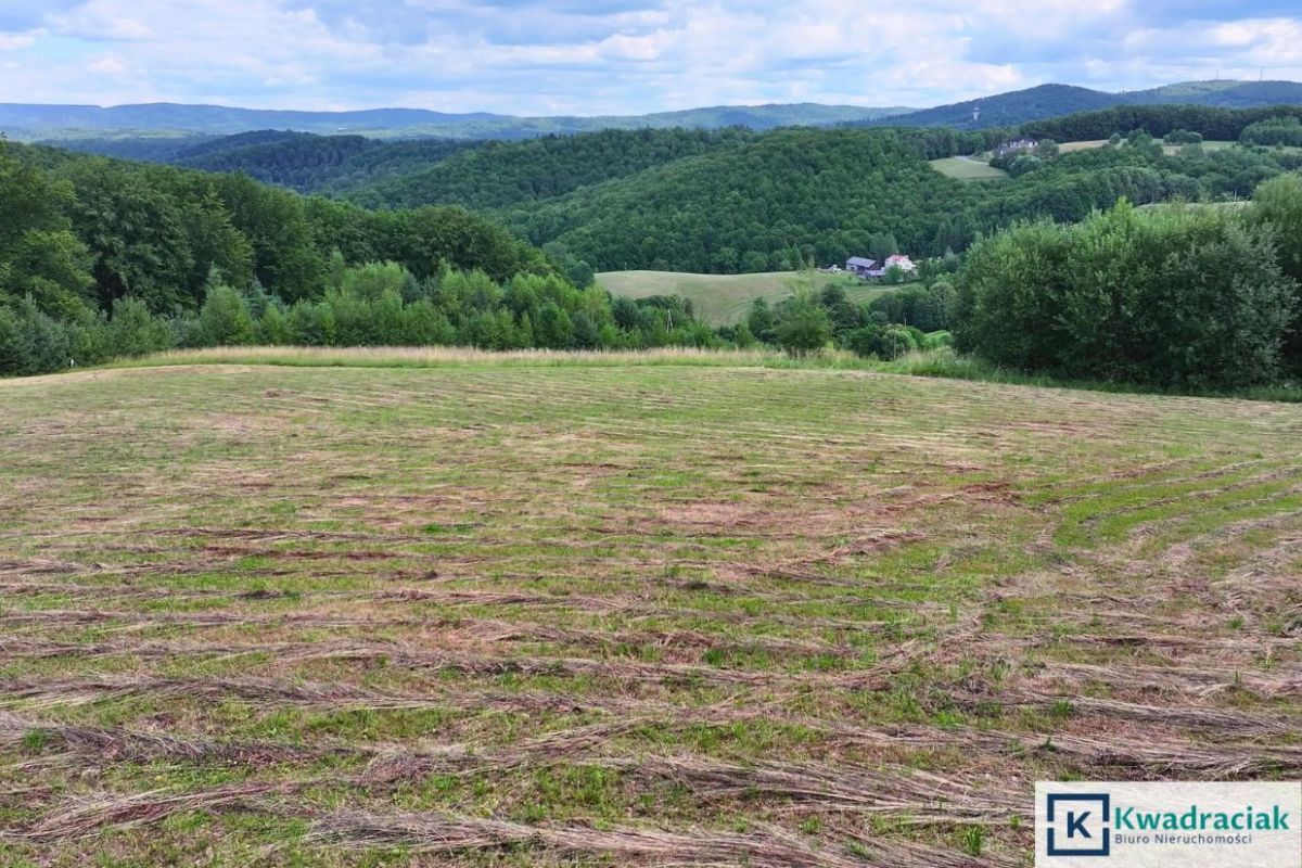 Działka siedliskowa Myczków. Zdjęcie 6
