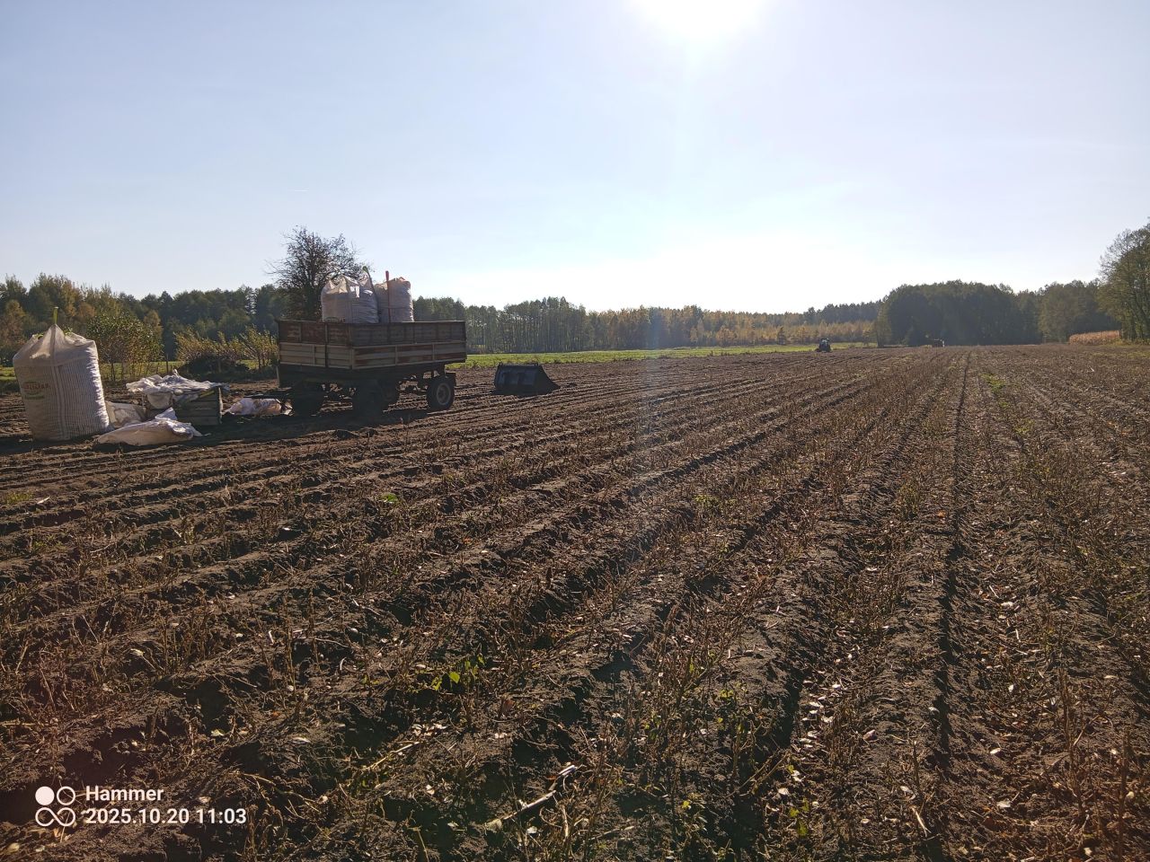Działka rolno-budowlana Bieniew. Zdjęcie 7