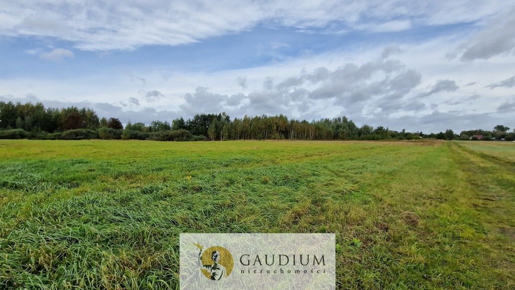 Działka budowlana Drewnica. Zdjęcie 13