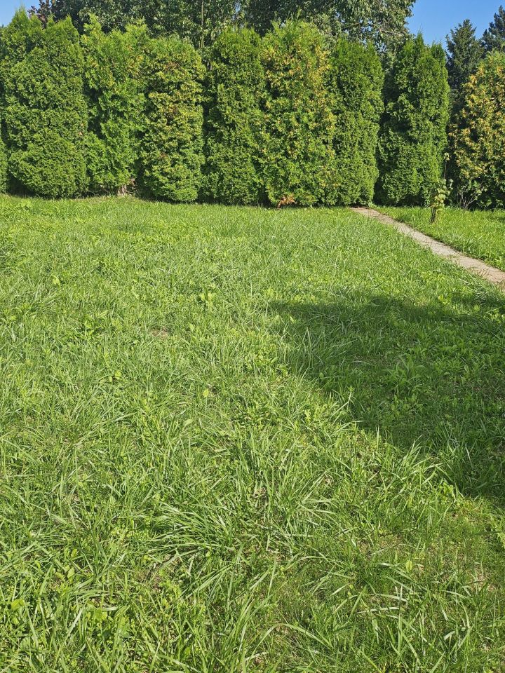 Działka rod Czeladź, ul. Będzińska. Zdjęcie 3