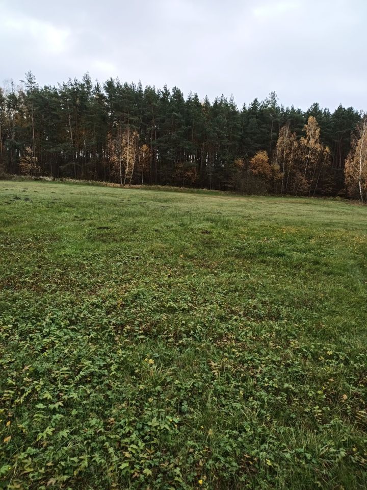 Działka Rumian. Zdjęcie 7