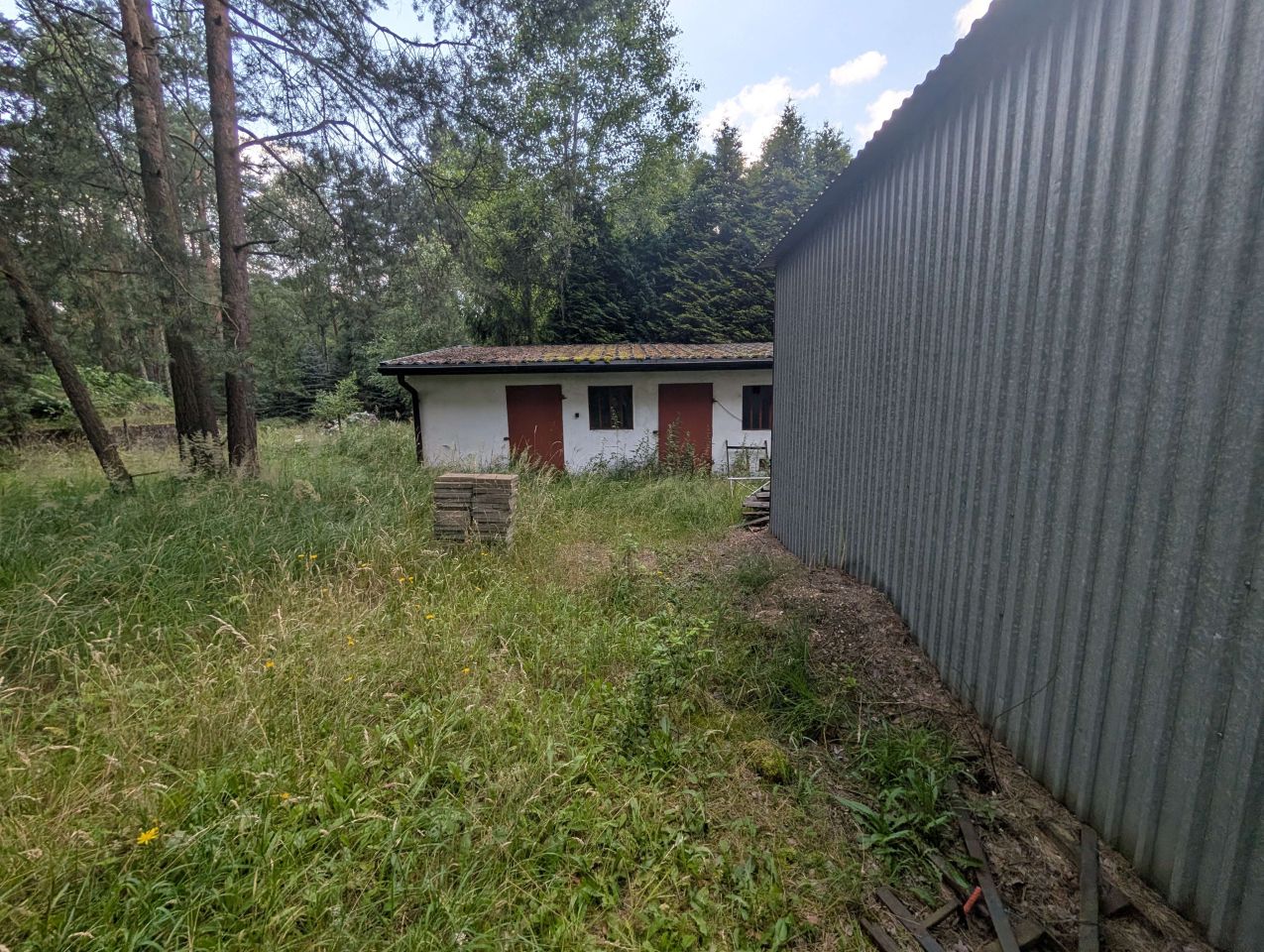 Działka leśna Myszków, ul. 1 Maja. Zdjęcie 2