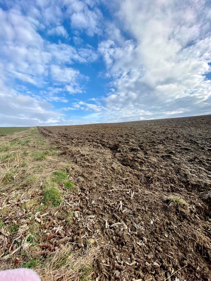 Działka rolna Jaszczurowa. Zdjęcie 6