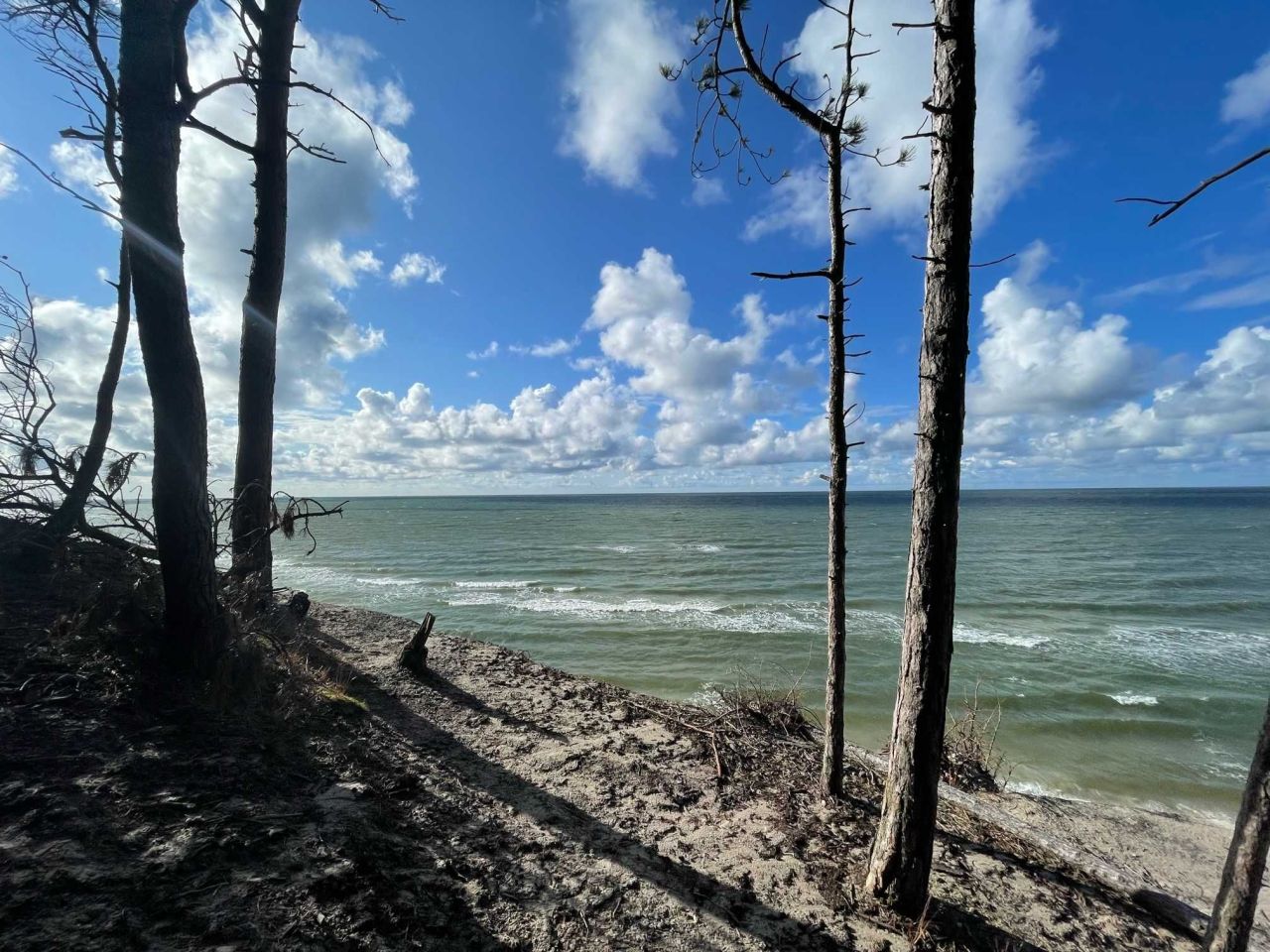 Działka rekreacyjna Karwieńskie Błoto Drugie. Zdjęcie 7