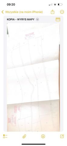 Działka leśna Brzeziny. Zdjęcie 1