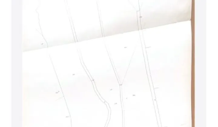 Działka leśna Brzeziny