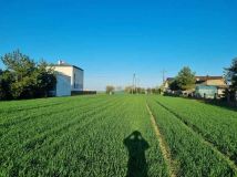 Działka budowlana Lubecko, ul. Strażacka. Zdjęcie 2